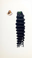 Raw Vietnamese Bundles Loose Deep Wave